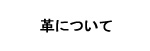 dete�λ����Ǻ�